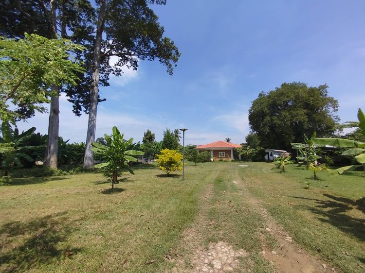 มีบางส่วน ขายบ้านเดี่ยวชั้นเดียวพร้อมที่ดิน ต.หนองกบ อ.บ้านโป่ง จ.ราชบุรี ทำเลดี เดินทางสะดวก รูปที่ 3