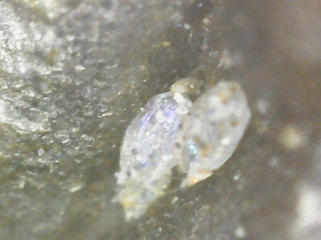 หลวงปู่ทวด หลังเตารีด พิมพ์ใหญ่A เนื้อโลหะผสม(ทองผสม) ปี2505 รูปที่ 13