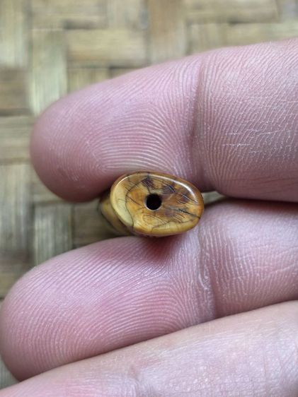 เสือหลวงพ่อปานเก่าๆ รูปที่ 5