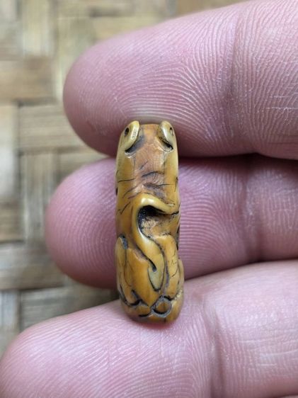 เสือหลวงพ่อปานเก่าๆ รูปที่ 4