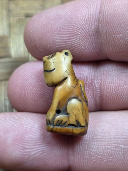 เสือหลวงพ่อปานเก่าๆ รูปที่ 2