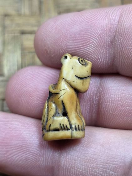 เสือหลวงพ่อปานเก่าๆ