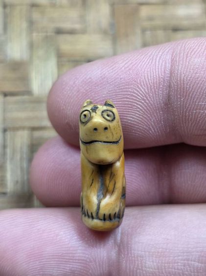 เสือหลวงพ่อปานเก่าๆ รูปที่ 3