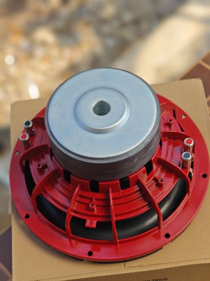 ดอกลำโพง 10 นิ้ว