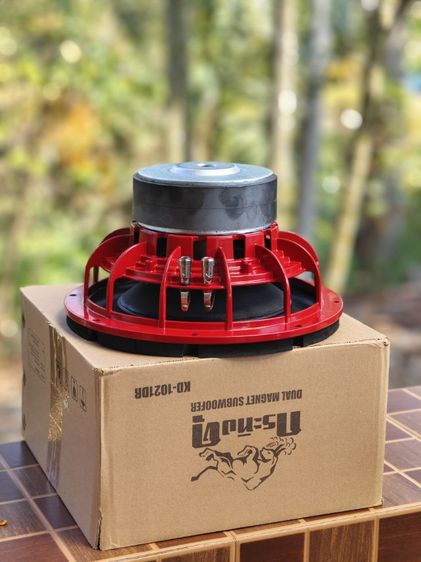 ดอกลำโพง 10 นิ้ว รูปที่ 2