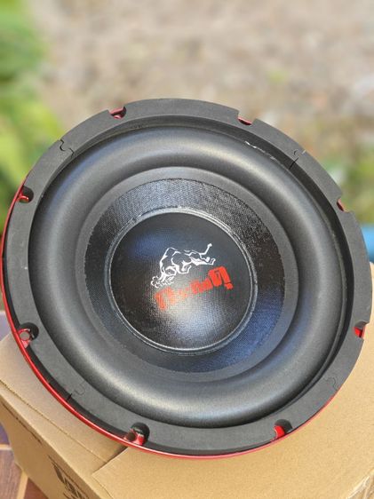 ดอกลำโพง 10 นิ้ว รูปที่ 6