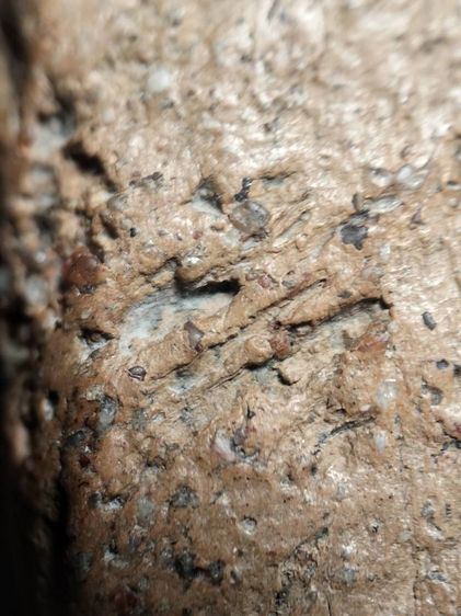 นางพญาอกนูนเล็กพิษณุโลกเนื้อดินครับ รูปที่ 14