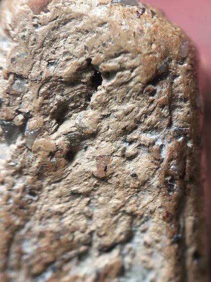 นางพญาอกนูนเล็กพิษณุโลกเนื้อดินครับ รูปที่ 15