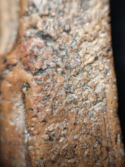 พระนางพญาเนื้อดินพิษณุโลกครับ รูปที่ 18