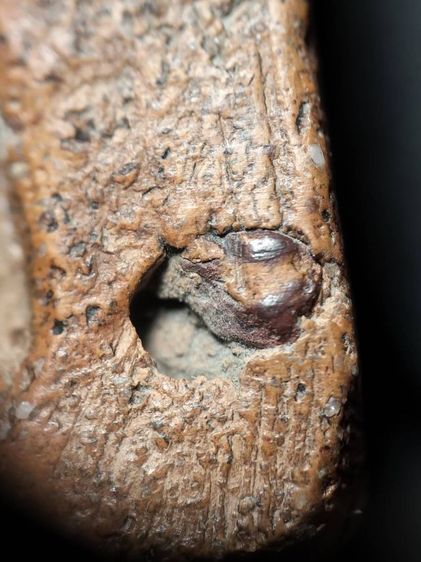 พระนางพญาเนื้อดินพิษณุโลกครับ รูปที่ 8