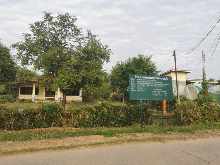 ที่ดินอำเภอเมือง​ขอนแก่น​จังหวัด​ขอนแก่น​ รูปที่ 4
