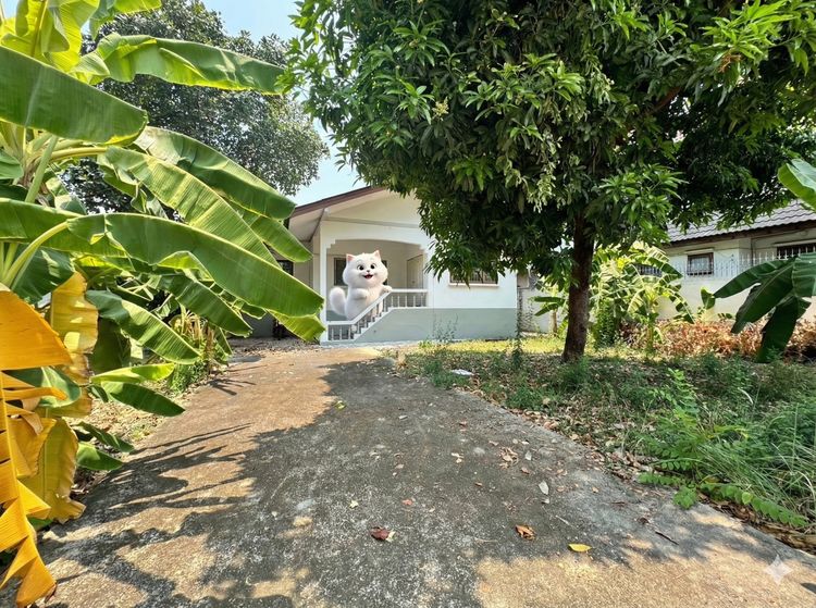 อื่นๆ ไม่มี 2020 ขายด่วน บ้านเดี่ยว 99 ตร.ว. ทำเลแจ้งวัฒนะ ใกล้รถไฟฟ้าสีชมพูเพียง 700 ม. ราคาดีที่สุดในย่านนี้ รูปที่ 2