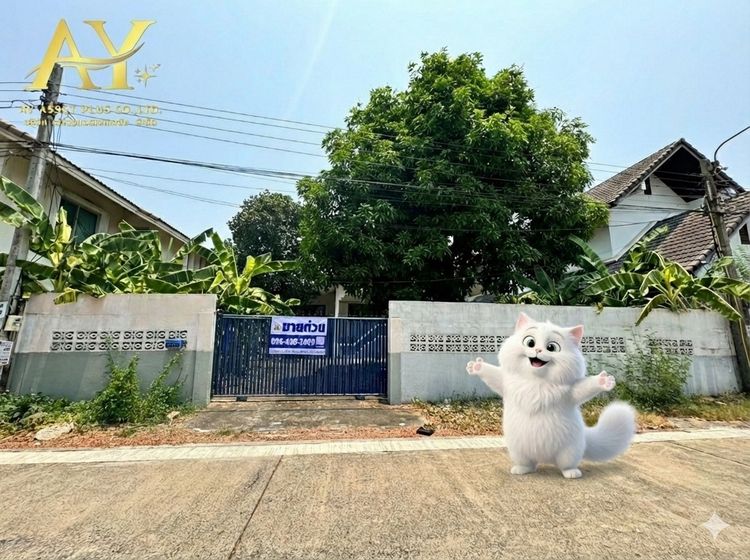 ขายด่วน บ้านเดี่ยว 99 ตร.ว. ทำเลแจ้งวัฒนะ ใกล้รถไฟฟ้าสีชมพูเพียง 700 ม. ราคาดีที่สุดในย่านนี้