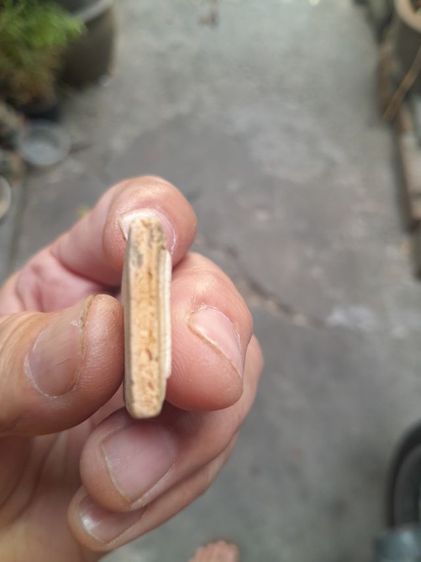 พระสมเด็จกรุขุนอินทร์ประมูล รูปที่ 5