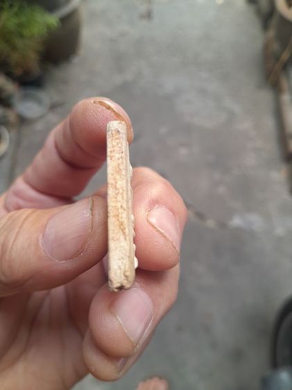 พระสมเด็จกรุขุนอินทร์ประมูล รูปที่ 6