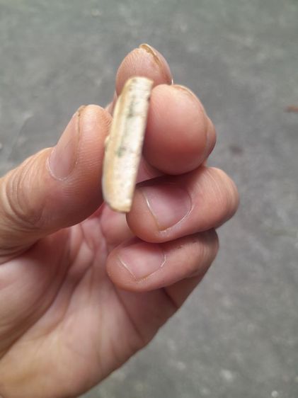 สมเด็จ100ปี รูปที่ 7