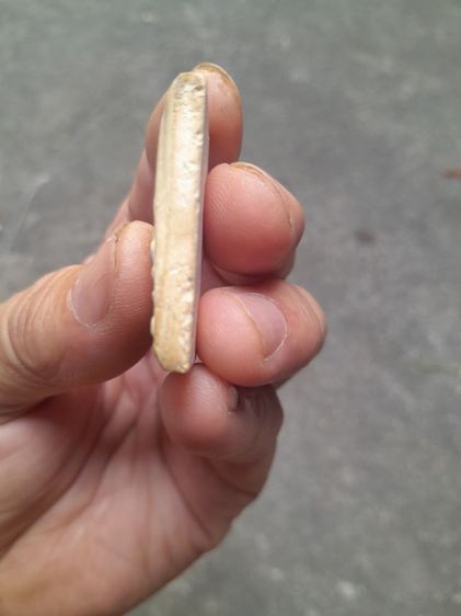 สมเด็จ100ปี รูปที่ 6