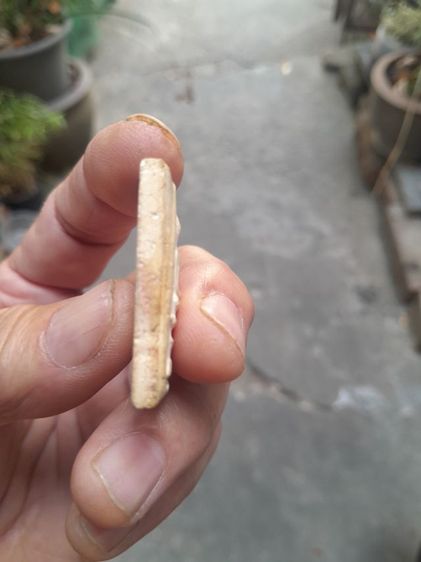 สมเด็จ100ปี รูปที่ 5