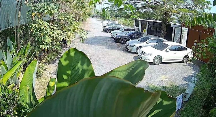 เซ้งคาเฟ่ ร้านสวย ทำเลดี พื้นที่ 6 ไร่ ลำลูกกา รูปที่ 8