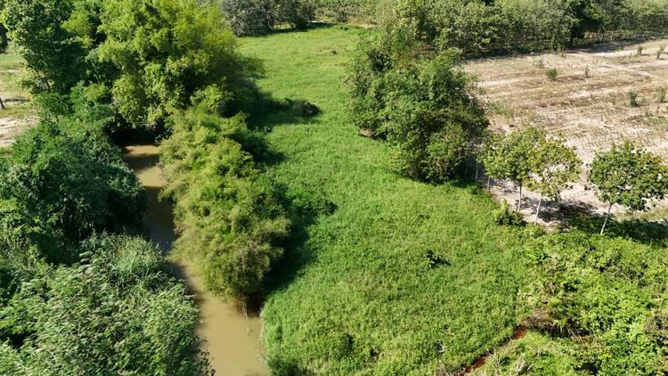 ขายที่ดินเปล่า 4-2-50 ไร่ ทำเลศักยภาพ ติดคลองกระเฉท น้ำไหลตลอดปี ใกล้นิคมอุตสาหกรรม ต.มาบข่า ระยอง รูปที่ 2