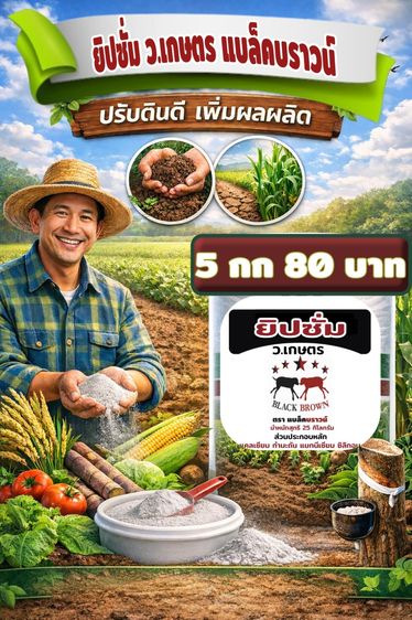 ยิปซั่ม แบล็คบราวน์ 5 กก
