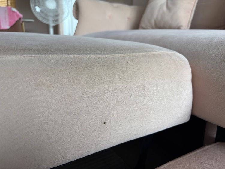 โซฟาเบด 3 ที่นั่ง รูปที่ 6