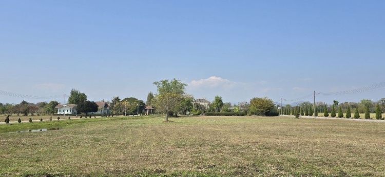 ใช่ ขายที่ดินวิวน้ำวิวเขา อำเภอหางดง 