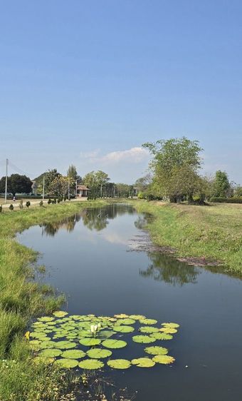 ใช่ ขายที่ดินวิวน้ำวิวเขา อำเภอหางดง รูปที่ 2