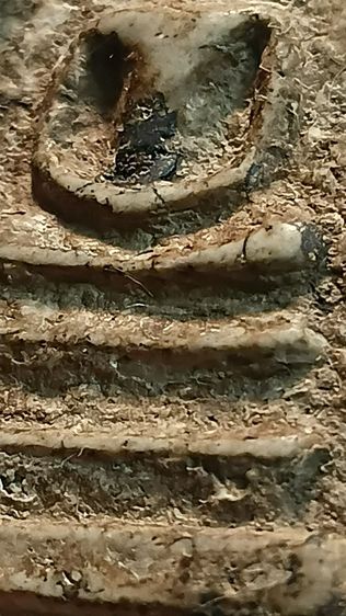 พระสมเด็จ เก่า ตามภาพ รูปที่ 5