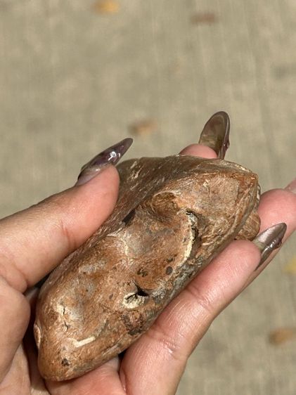 พระเครื่องไม่ทราบที่ รูปที่ 17