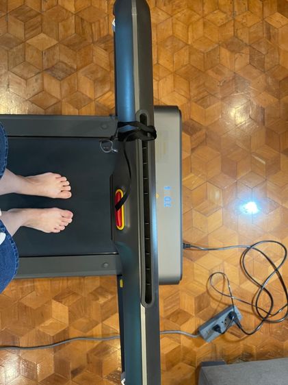 Kingston Walking Pad R1 รูปที่ 4