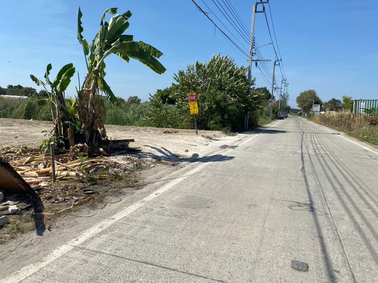 ขายที่เปล่า 101 ตารางวา รูปที่ 3