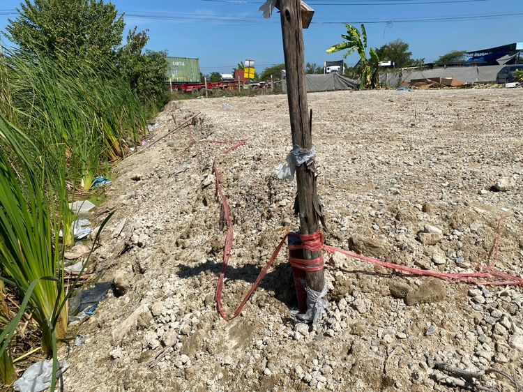 ขายที่เปล่า 101 ตารางวา รูปที่ 4