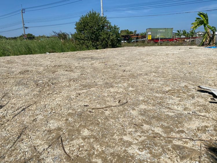 ขายที่เปล่า 101 ตารางวา รูปที่ 2