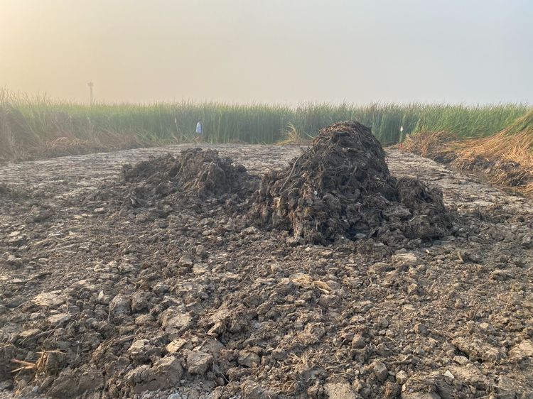 ขายที่เปล่า เจ้าของขายเอง รูปที่ 2