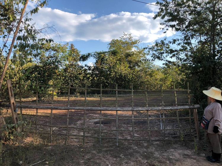 ที่ดินมีโฉนด รูปที่ 2