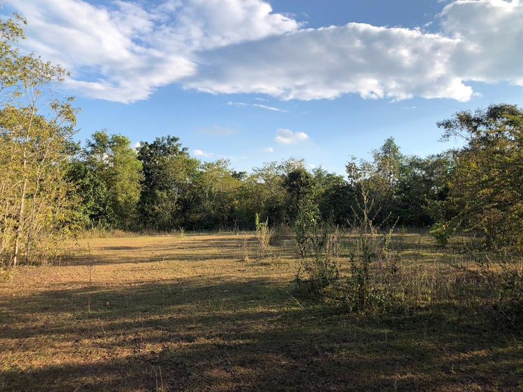 ที่ดินมีโฉนด รูปที่ 4