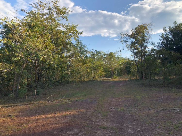 ที่ดินมีโฉนด