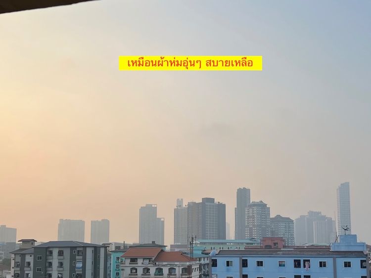 Xiaomi Air Purifier 4 รูปที่ 11