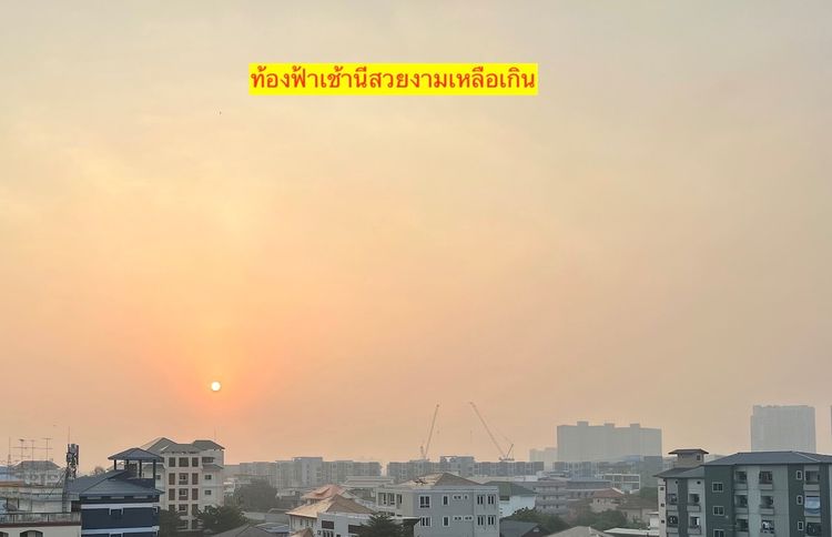 Xiaomi Air Purifier 4 รูปที่ 12