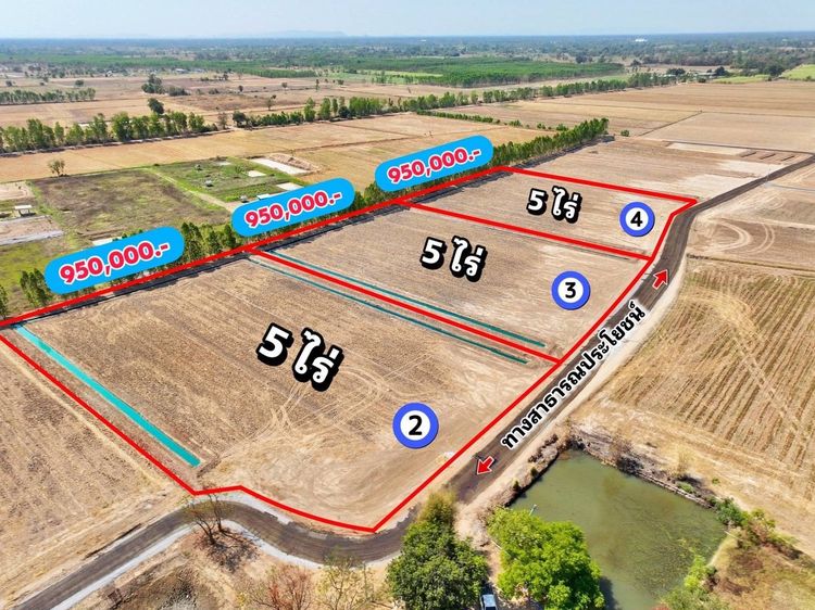 เปิดใหม่ ที่ดินอยู่ในชุมชน บรรยากาศดี น้ำไม่ท่วม ต.หนองราชวัตร อ.หนองหญ้าไซ จ.สุพรรณบุรี รูปที่ 2