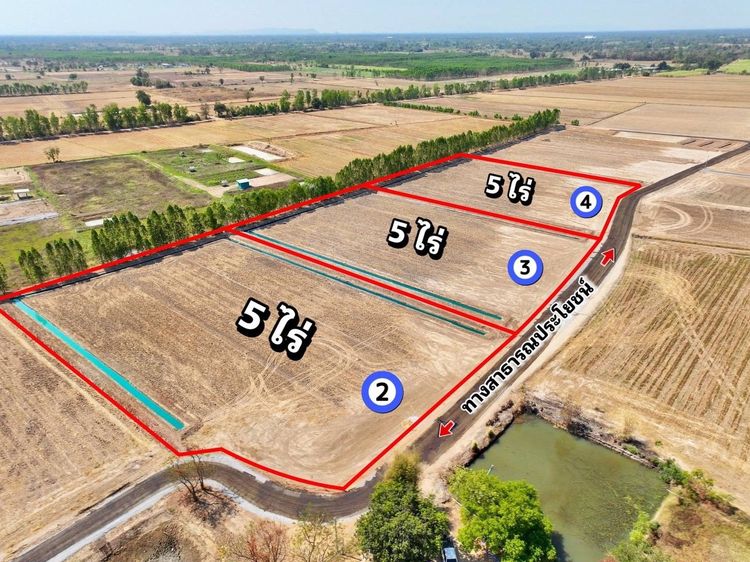 เปิดใหม่ ที่ดินอยู่ในชุมชน บรรยากาศดี น้ำไม่ท่วม ต.หนองราชวัตร อ.หนองหญ้าไซ จ.สุพรรณบุรี รูปที่ 4