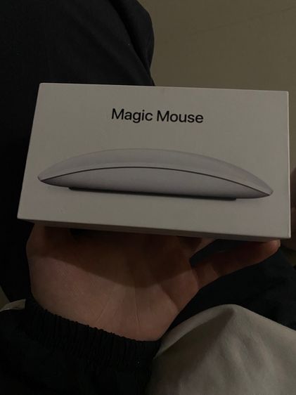 Magic Mouse 2
