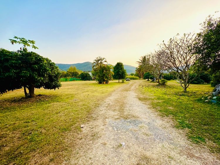 ใช่ ❗️ขายด่วน❗️ที่ดินบ้านสวนรีสอร์ทติดดอยบรรยากาศดีวิวสวย จ.ลำพูน รูปที่ 2