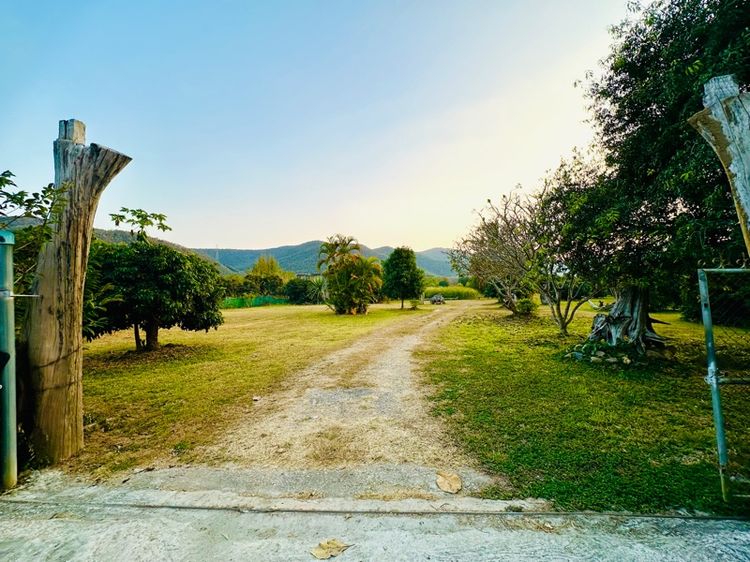 ❗️ขายด่วน❗️ที่ดินบ้านสวนรีสอร์ทติดดอยบรรยากาศดีวิวสวย จ.ลำพูน