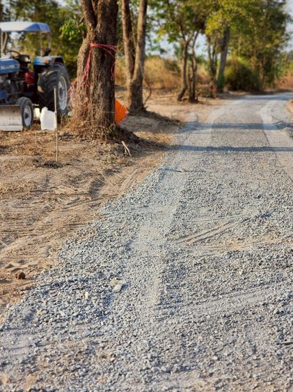 ที่ดินสวย ราคาถูก เดินทางสะดวก น้ำไม่ท่วม ต.หนองราชวัตร อ.หนองหญ้าไซ จ.สุพรรณบุรี รูปที่ 3