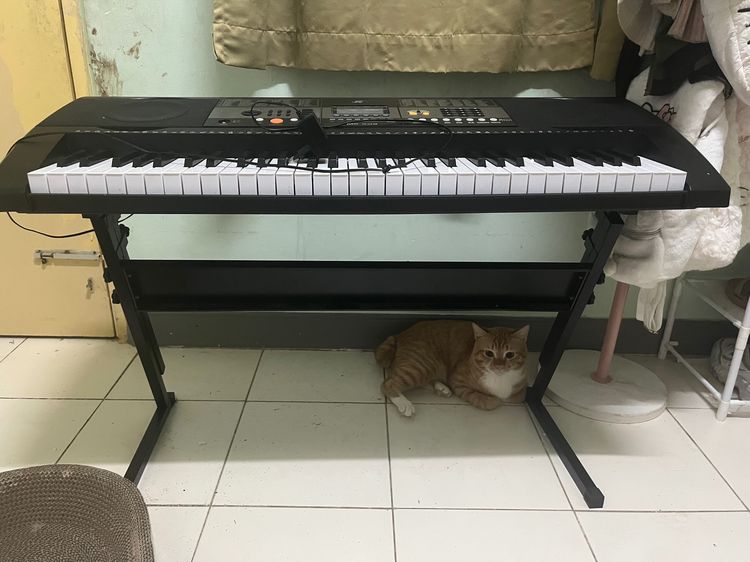 คีย์บอร์ด  รูปที่ 3