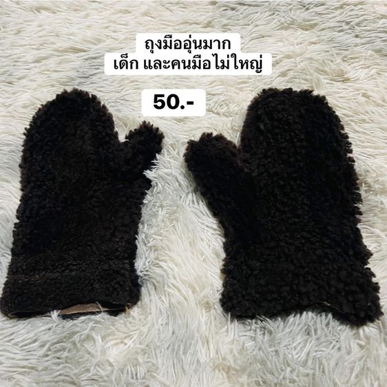 เสืัอผ้าใสเที่ยวเมืองนอก รูปที่ 5