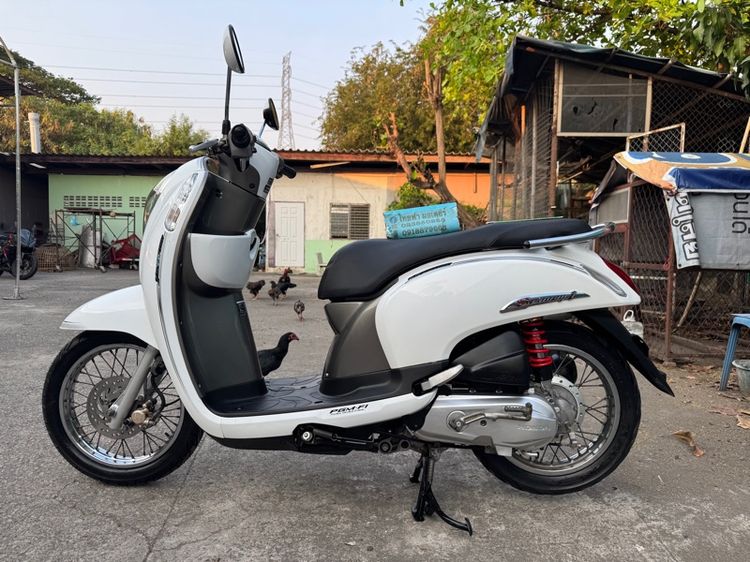 HONDA SCOOPY i เครื่องดีมาก สีสวยมาก ต้องมาดูของจริง มีสถานที่ให้ทดลองขับขี่ก่อนซื้อ รูปที่ 3