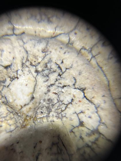 สมเด็จเนื้อสวยครับ รูปที่ 7